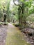 The Falls walk@ Minnamurra RainforestÂ in Budderoo National Park